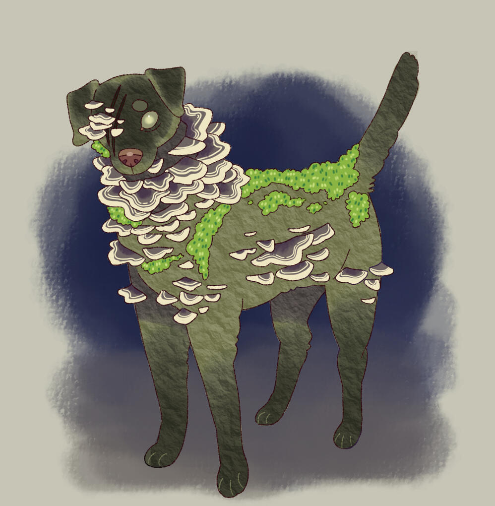 Character design concept