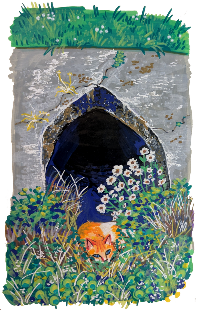 Culvert Cat | 2026 [Paint marker]