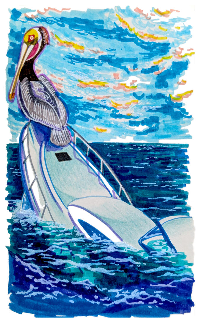 Figurehead | 2026 [Marker, colored pencil, pen]