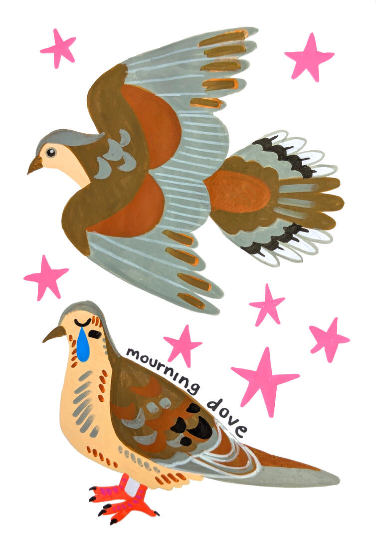 Mourning Dove | 2026 [Paint marker]