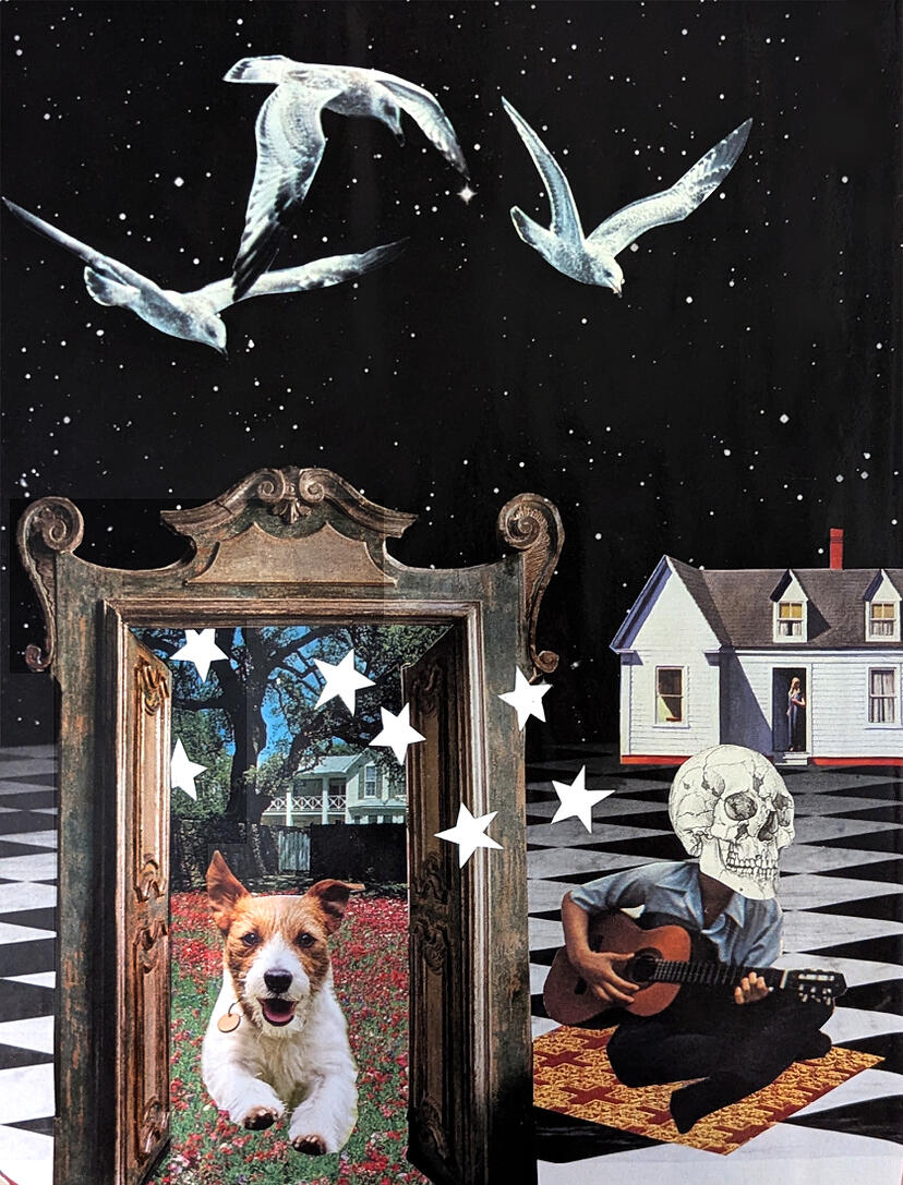 Untitled | 2025 [Collage]